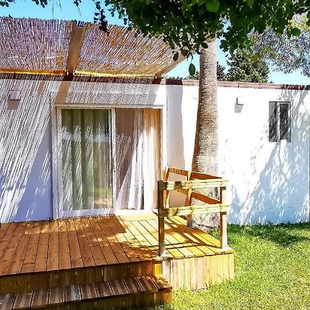 Apartamento Mery Oliva Чиклана-де-ла-Фронтера Екстер'єр фото